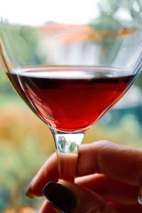 Close-up of hand holding glass of wineglass