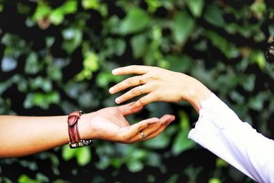 Close-up of couple hands against plants