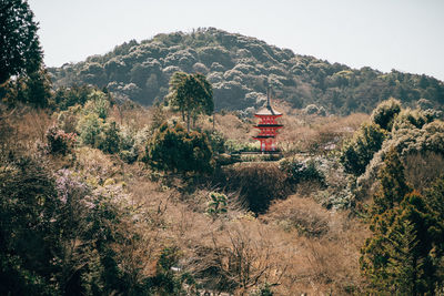 Scenic view of mountains