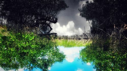 Reflection of trees in lake against sky