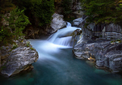 Scenic view of waterfall in forest