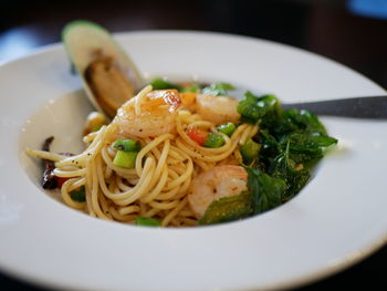 Close-up of meal served in plate
