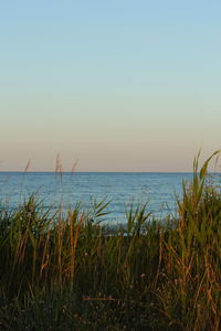 Scenic view of sea against clear sky