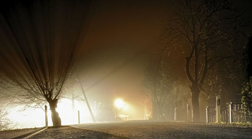 Road amidst bare trees during winter at night