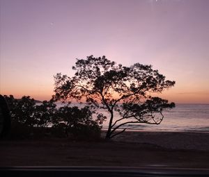 Silhouette tree by sea against sky during sunset