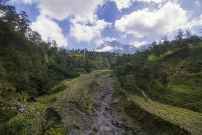 Scenic view of landscape against sky