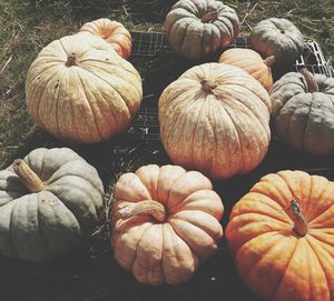 High angle view of pumpkins in market