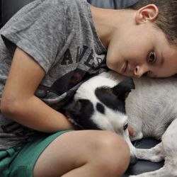 Boy sitting with dog at home