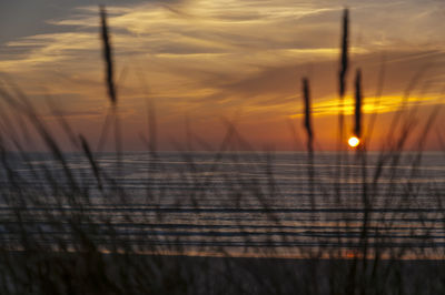 Close-up of sea against orange sky