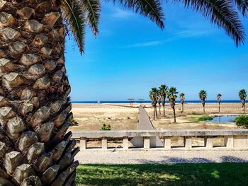 Palm trees on beach against clear blue sky