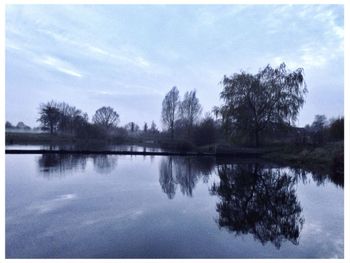 Reflection of trees in water