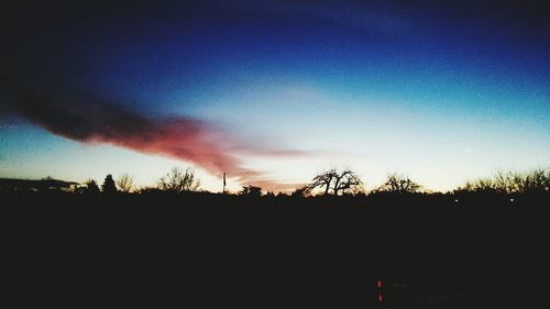 Silhouette of trees at sunset