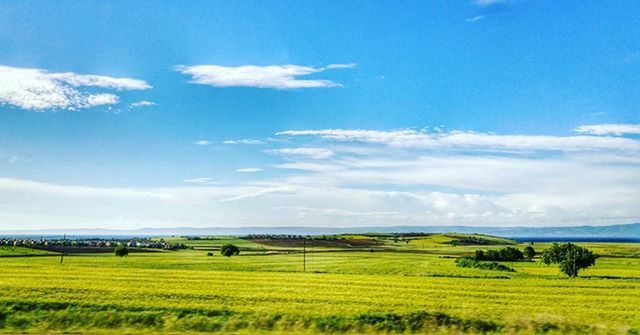 field, landscape, tranquil scene, agriculture, rural scene, sky, tranquility, scenics, grass, beauty in nature, farm, nature, growth, crop, cloud - sky, cloud, green color, blue, cultivated land, horizon over land