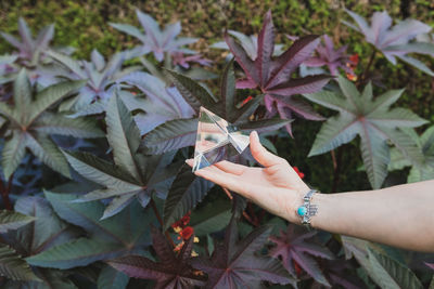 Cropped hand of woman holding pyramid crystal against plant