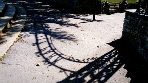 Shadow of tree on footpath