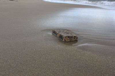 Rock amidst wet sand at beach