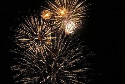 Low angle view of firework display