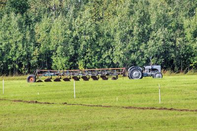 Vintage car on field