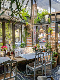 Potted plants on table against building