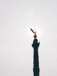 Low angle view of statue