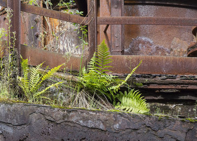 Close-up of rusty metal wall