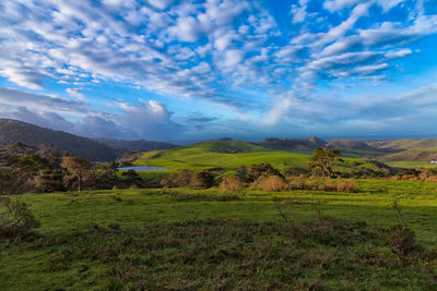 Scenic view of vineyard against sky