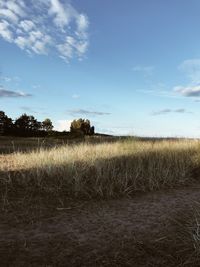 Scenic view of field against sky