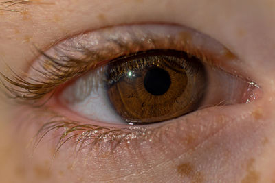 Extreme close-up of human eye