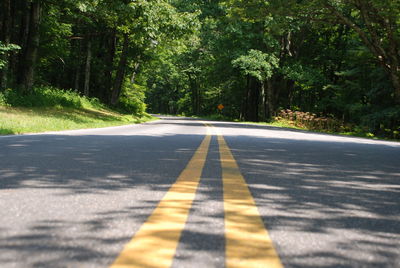 Road amidst trees in forest