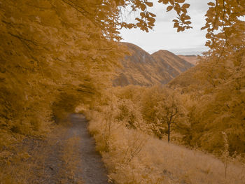 Infrared scenic view of mountains against sky