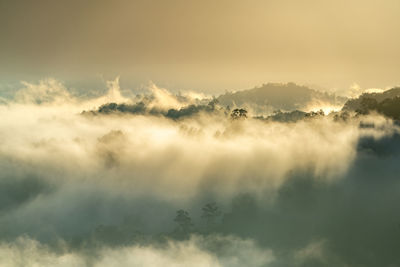  sea of clouds ii  mt kinabalu sabah 