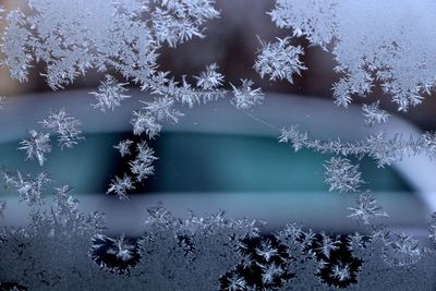 Close-up of snowflakes on glass