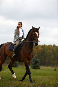 Horse standing on field