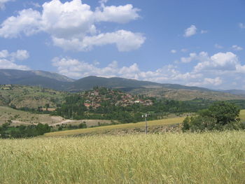 Scenic view of field against sky