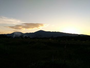 Scenic view of field against sky during sunset