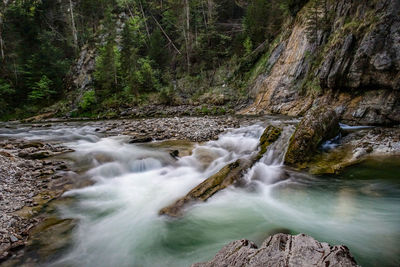 Scenic view of waterfall in forest