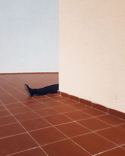 View of black cat on tiled floor