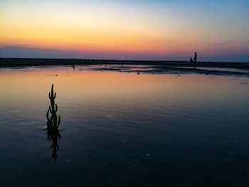 Scenic view of sea against sky during sunset