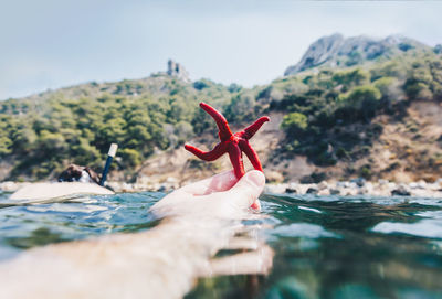 Close-up of cropped hand holding dead starfish in sea against sky