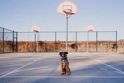 View of basketball hoop on road against sky