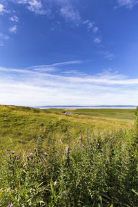 Scenic view of field against sky