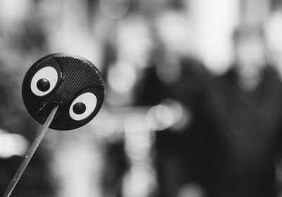 Close-up of plant against blurred background