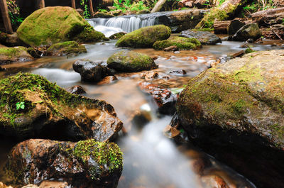 Stream flowing through rocks