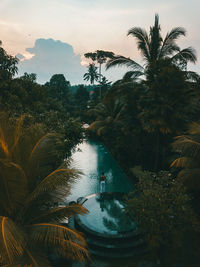 High angle view of palm trees by swimming pool against sky