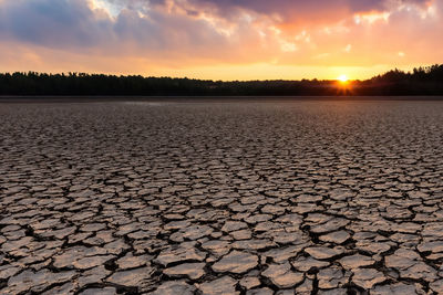 Traces of global warming. confronting the dried and cracked lake bottom.