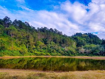 Scenic view of lake by trees against sky