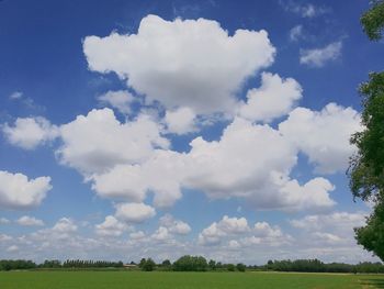 Scenic view of field against blue sky