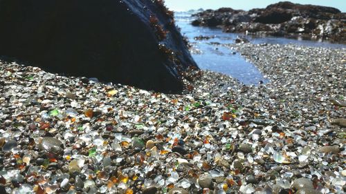 Scenic view of sea