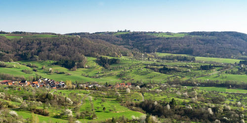 Scenic view of agricultural field against sky