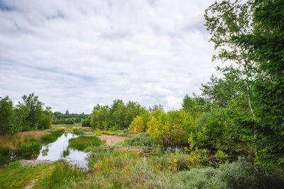 Scenic view of lake by trees against sky